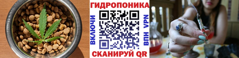 это телеграм  KRAKEN как зайти  Данилов  Cannafood марихуана 