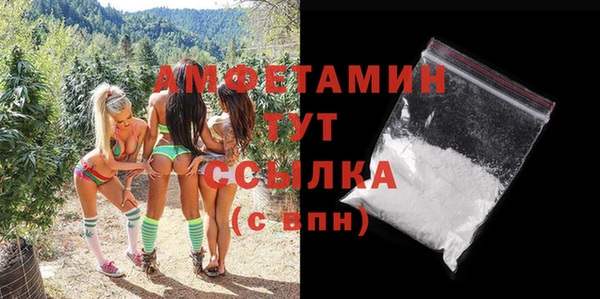 мет Алексин