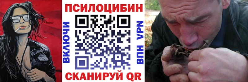 omg ссылки  Данилов  Галлюциногенные грибы Psilocybe 